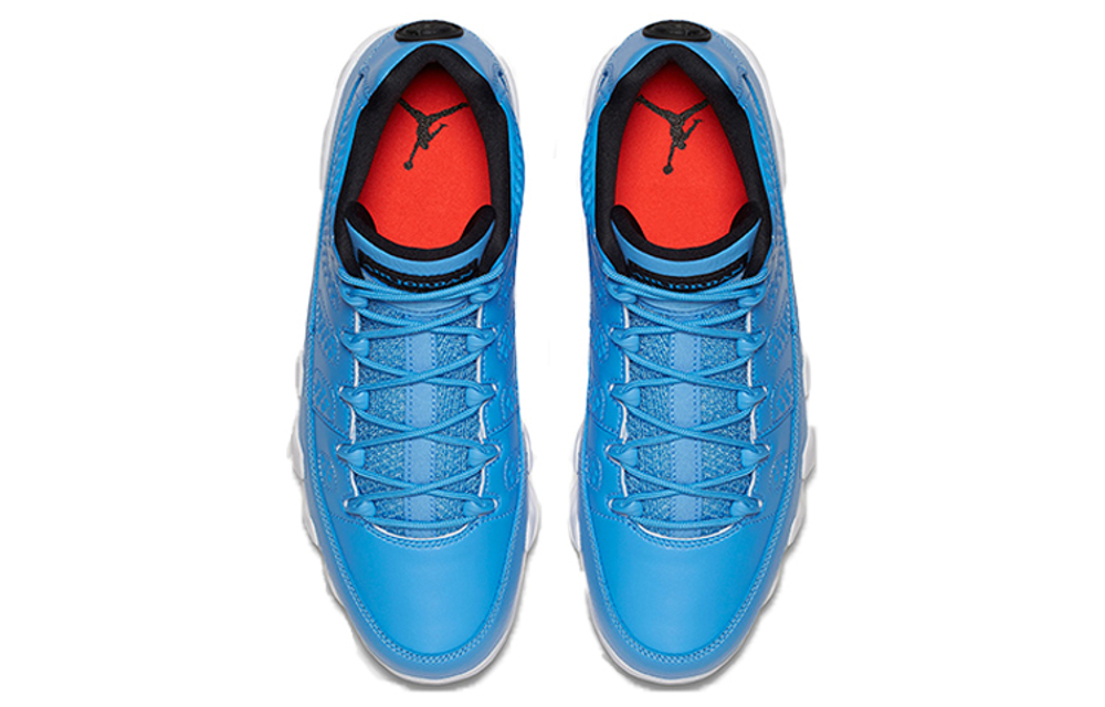 Кроссовки Jordan Air Jordan 9 Retro Low Pantone