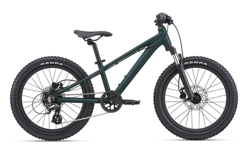 Детский велосипед Giant STP 20 FS (2023)