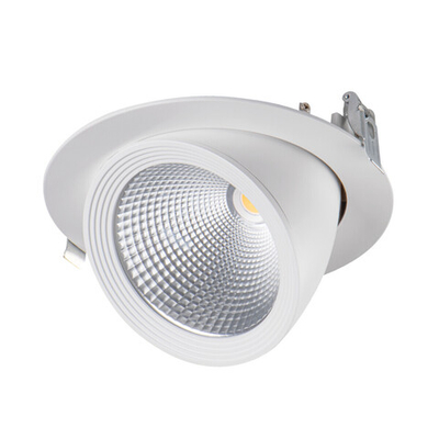 Светильник направленного света типа downlight HIMA LED 23W-NW-W