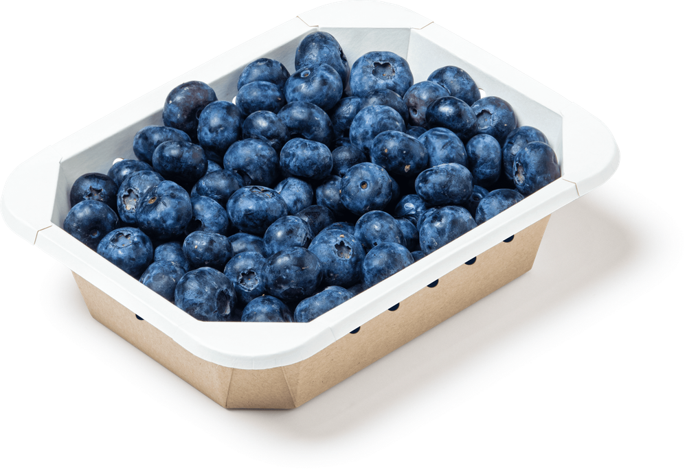 OSQ Упаковка OCTOBOX 500 (1/70/560)