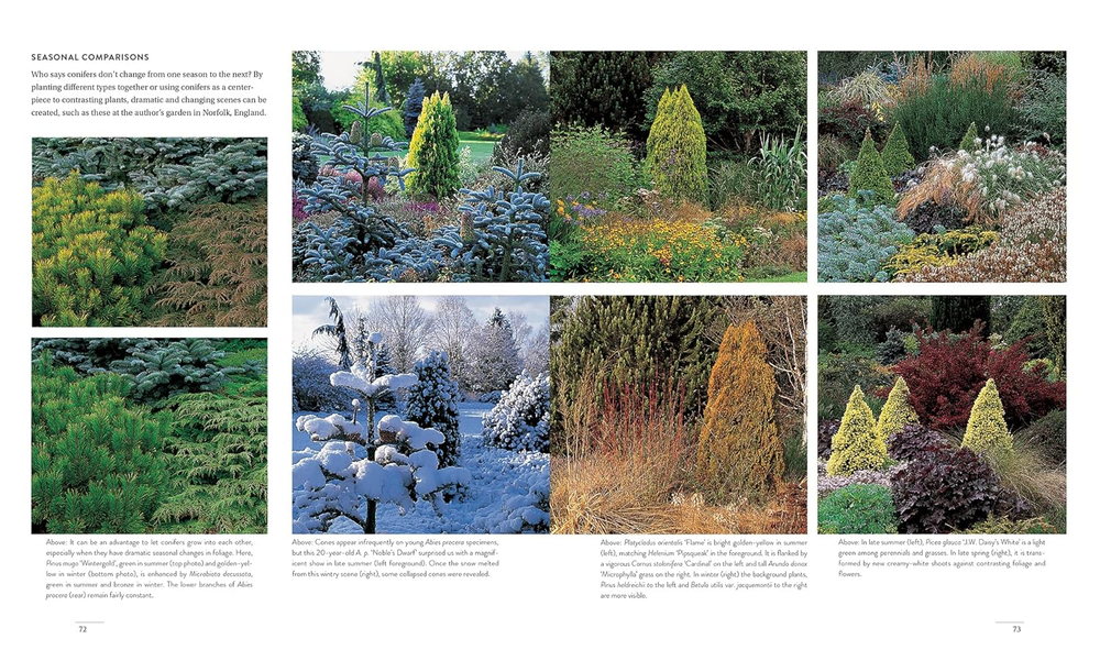 Gardening with conifers