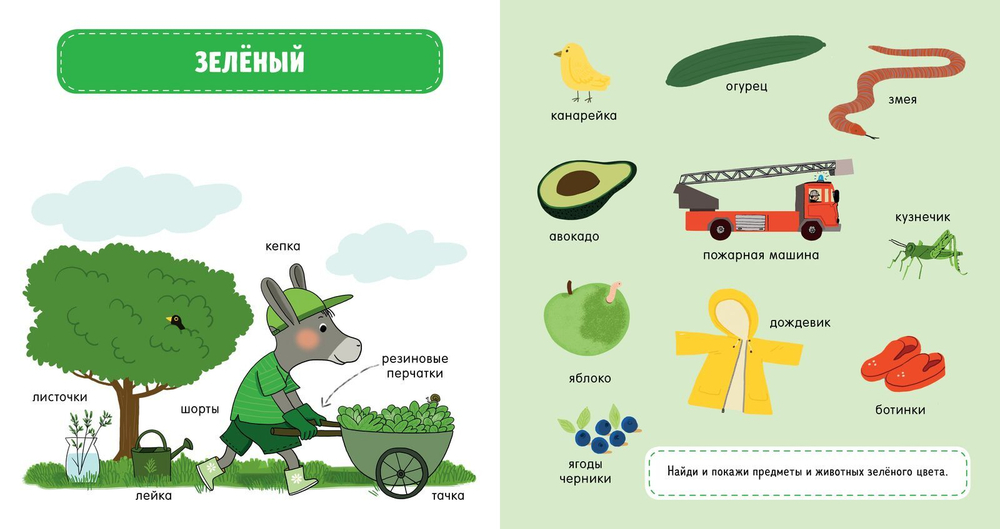 Главная книга малыша. Цвета и предметы