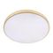 Потолочный светодиодный светильник Loft IT Flims 10228/B