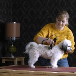 Машинка для стрижки животных Moser Rex (1230-0079)