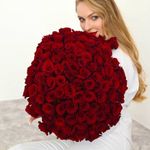 101 Роза красная Эквадор 60см.