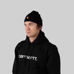  Шапка Carhartt WIP Chase Beanie артикул:I026222_black - купить в магазине Дайс