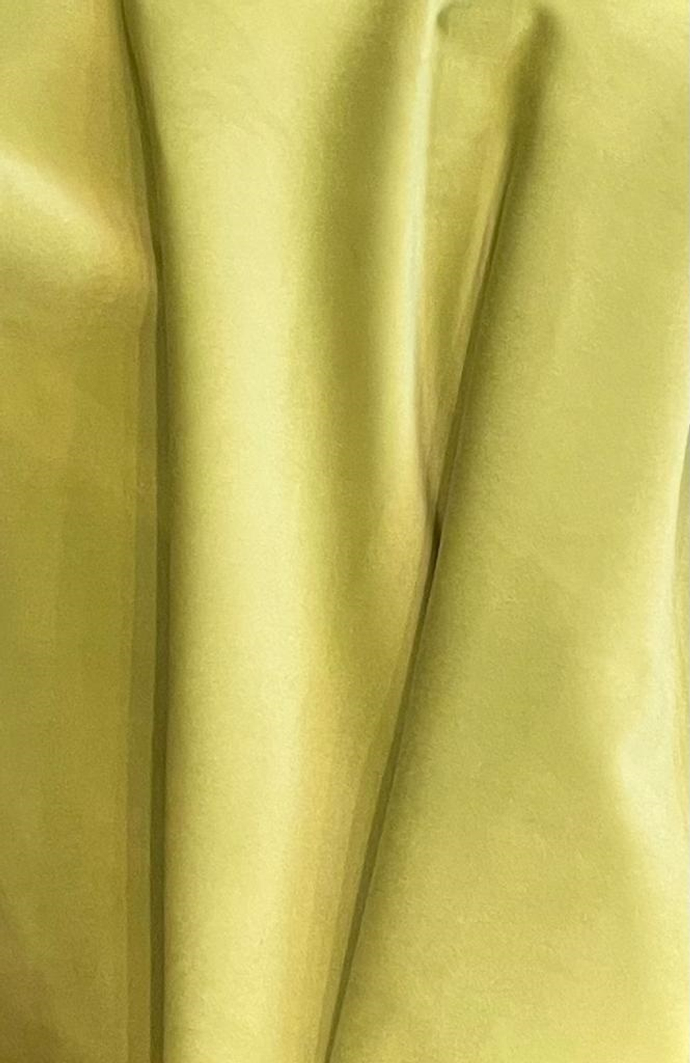 Santafe Olive