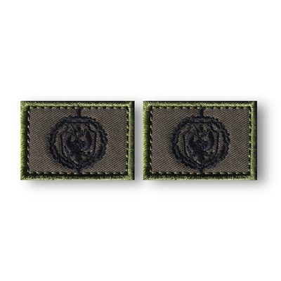 Эмблемы ( Нашивка Знак ) Петличные ( Петлицы ) ФСБ Полевые Черные