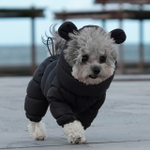 023 Шапка "Медведь" /капюшон к комбезам 671/672 PREMIUM (SSOOOK)