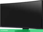 Монитор EIZO FlexScan EV3895-BK