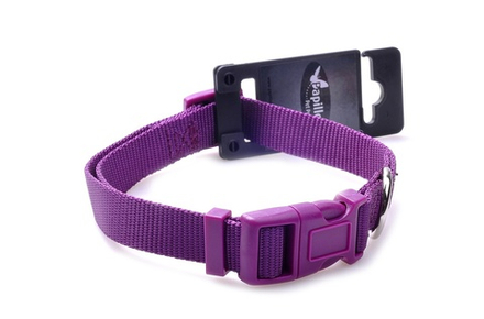 Papillon Нейлоновый ошейник 25мм - 48-70см, фиолетовый (Adjustable nylon collar, 25 mm x 48 - 70 cm, colour purple) 170204, 0,066 кг
