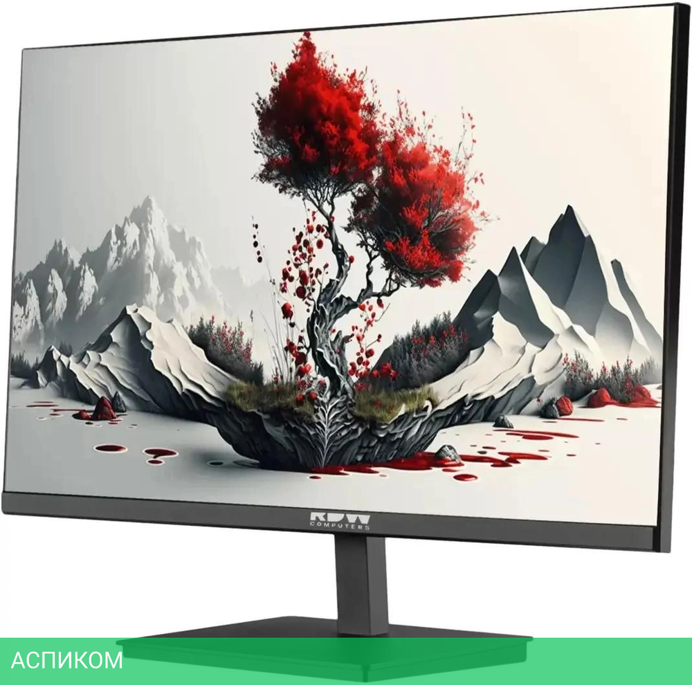 Монитор RDW Computers 23.8" RDW2401K