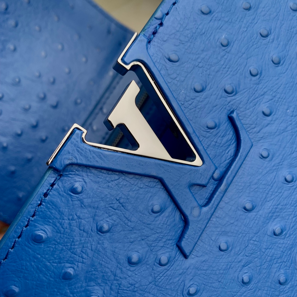 Louis Vuitton Capucines MM