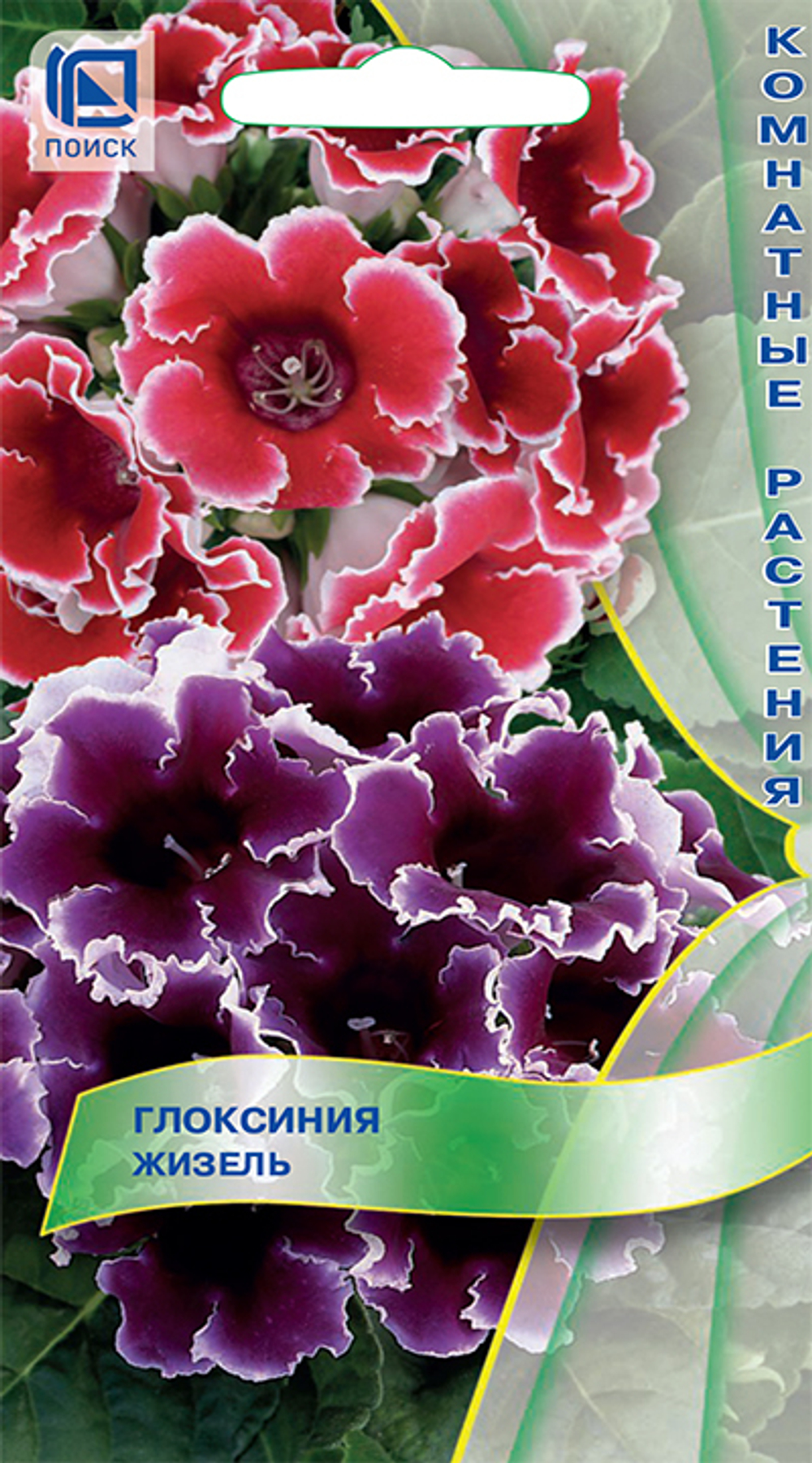 Глоксиния Жизель