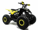 Квадроцикл MOTOLAND 125 Raptor