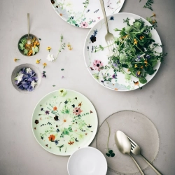 Rosenthal Обеденный набор Spring Garden на 2 персоны