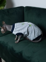 Одежда для сфинкса