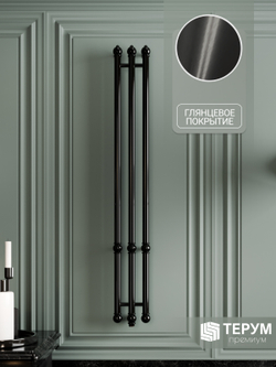 Полотенцесушитель Винтаж 3 120х16 Черный лак