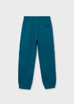 спортивные брюки