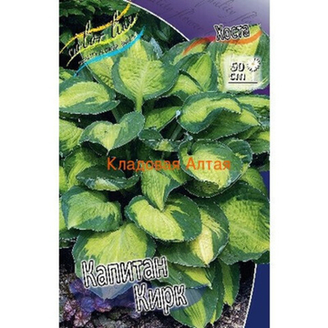 Хоста Капитан Кирк