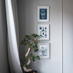 IKEA KNOPPÄNG  (ИКЕА КНОППÄНГ)  -  Рамка, белая, 40x50 см