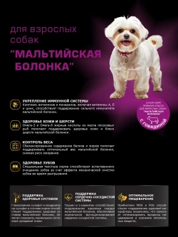 Корм сухой для собак Мальтийская болонка, говядина 2,5 кг