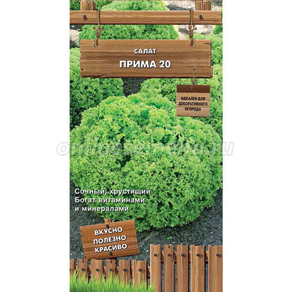 Салат Прима (Декоративный огород) 1г Ц Поиск