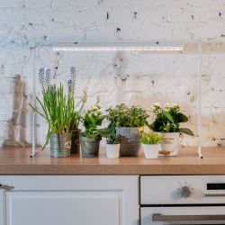 ULI-P18-18W-SPFB IP40 WHITE Светильник для растений светодиодный линейный. 560мм. выкл. на корпусе. Спектр для фотосинтеза. TM ФитоЛето