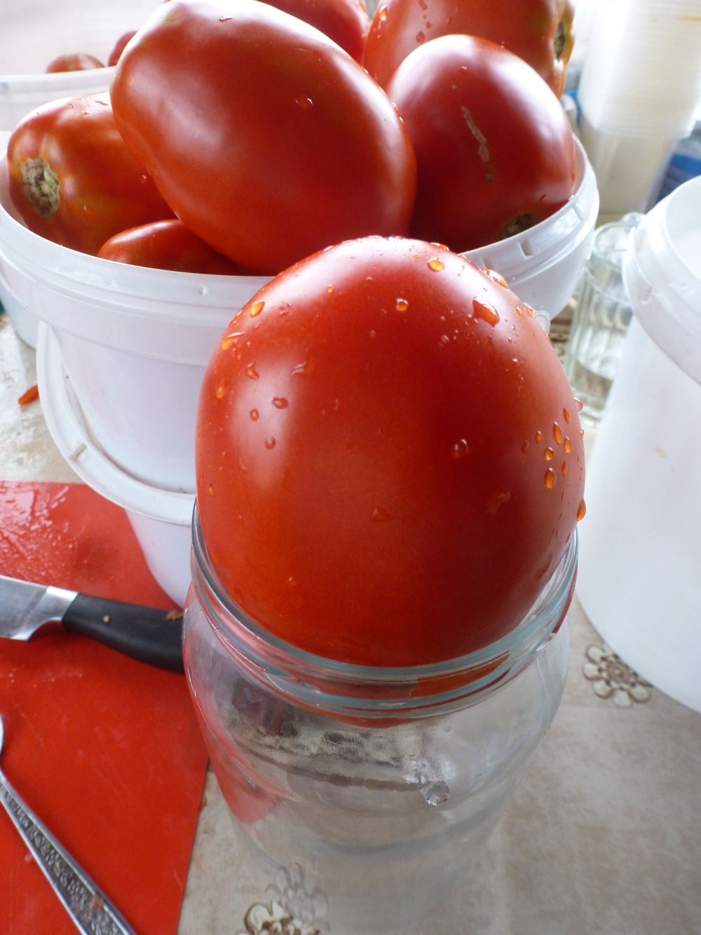 Помидоры - Amos Coli - Амос Коли