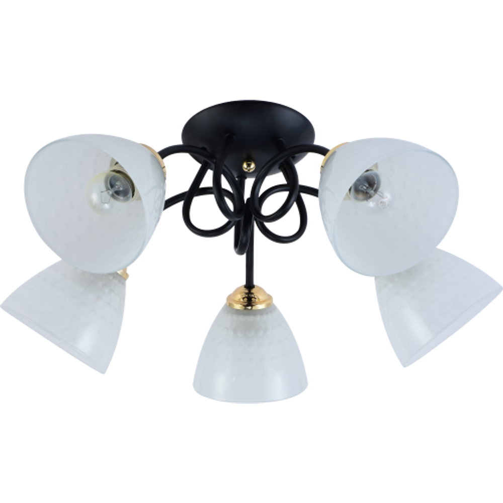 Люстра Rivoli Luiza 9140-305 5 х Е27 60 Вт модерн | Rivoli