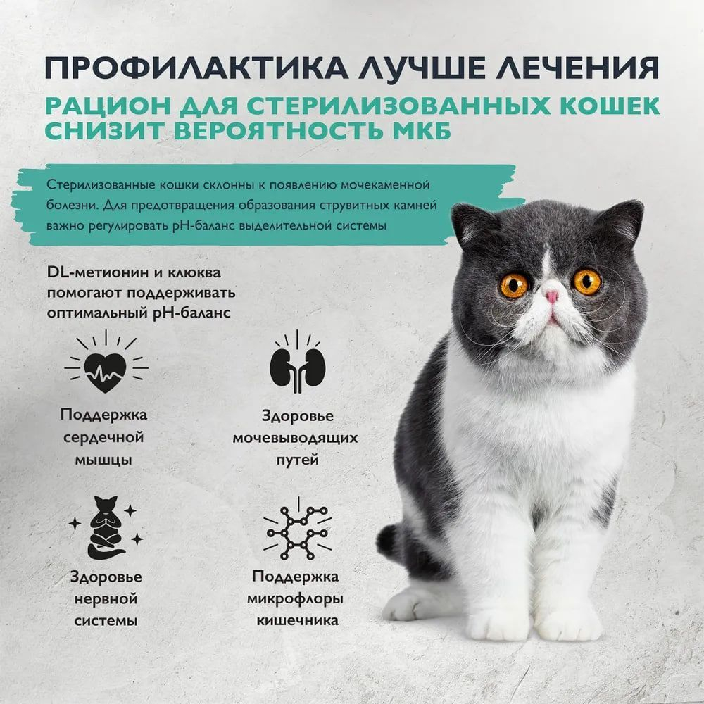 Корм для кошек сухой BRIT CARE "Cat Sterilised Urinary Care", для взрослых стерилизованных кошек, с индейкой и уткой, 7 кг