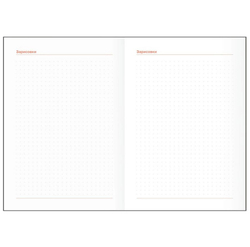 Планер школьный 1-11 кл. 64 л. БИДЖИ Мокко (Пш5т64_лм_тф 06327)