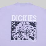  Футболка мужская Dickies Patrick Springs Tee артикул:DK0A4YR7H181 - купить в магазине Дайс