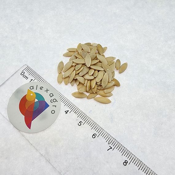 ОРЗУ F1 семена огурца Nunhems описание