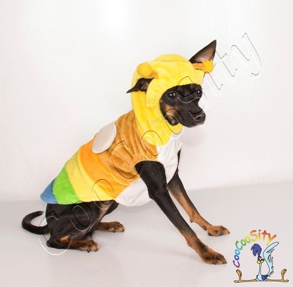 костюм для собаки или кота Бабочка р-р XL (дс 37 см, ог 57 см, ош 37 см)