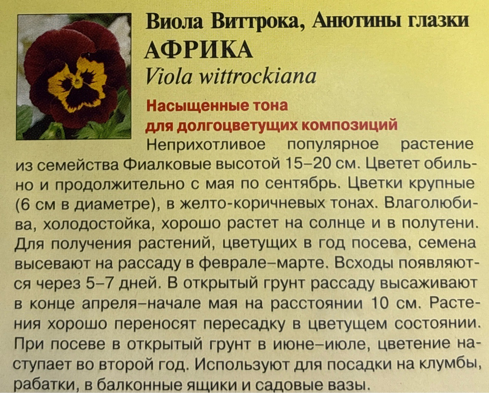 Виола Африка 0,05 г СМЦ-44