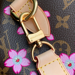 Louis Vuitton Speedy 25