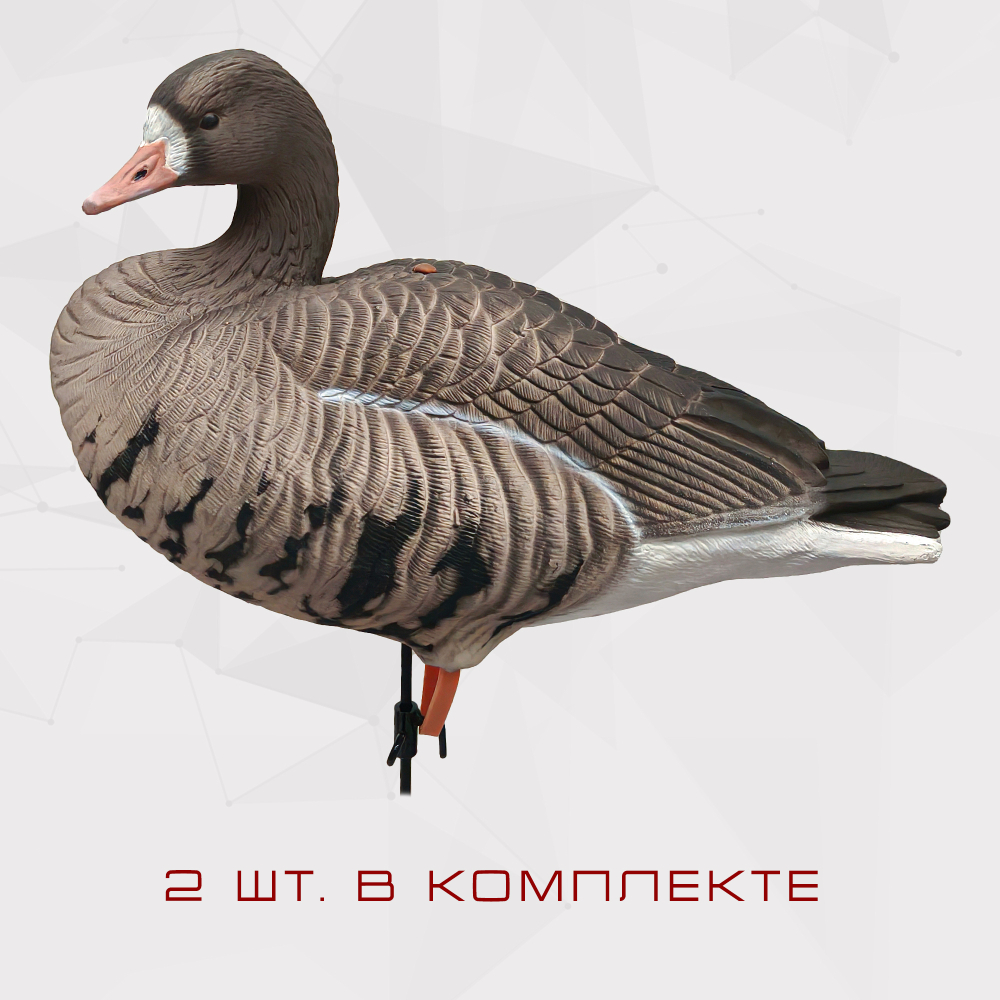 Белолобый гусь Duck Mania "ALFA"