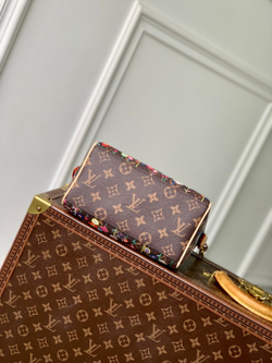 Louis Vuitton Speedy 20