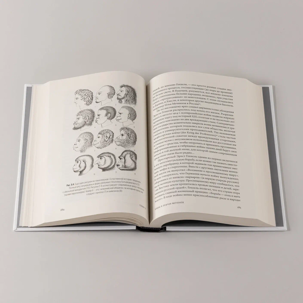 Мертвый лев: Посмертная биография Дарвина и его идей