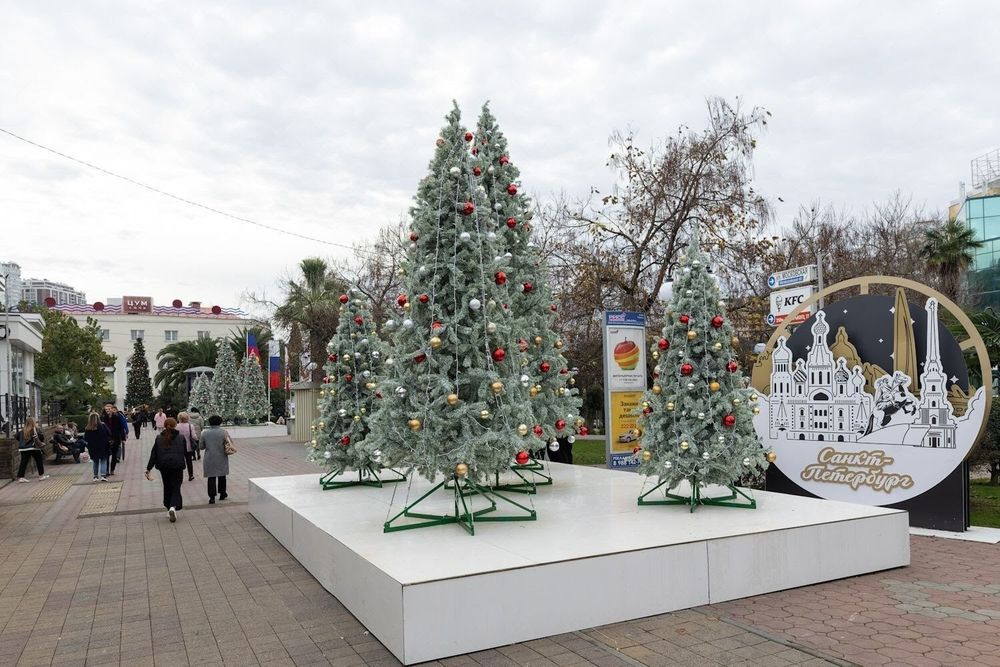 уличная ель ствольная "Альпийская" изумрудная