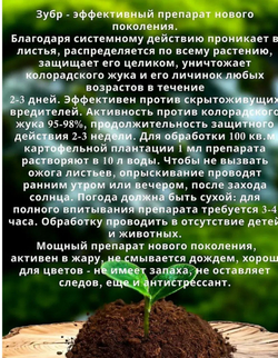 Препарат от насекомых-вредителей Зубр, 1 мл