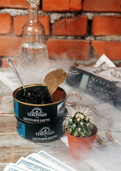 Табак Ветер Северный 25гр (Центровой Кактус)