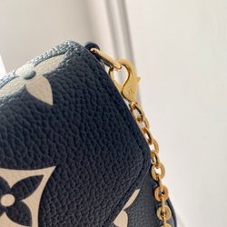 Louis Vuitton Felicie Pochette