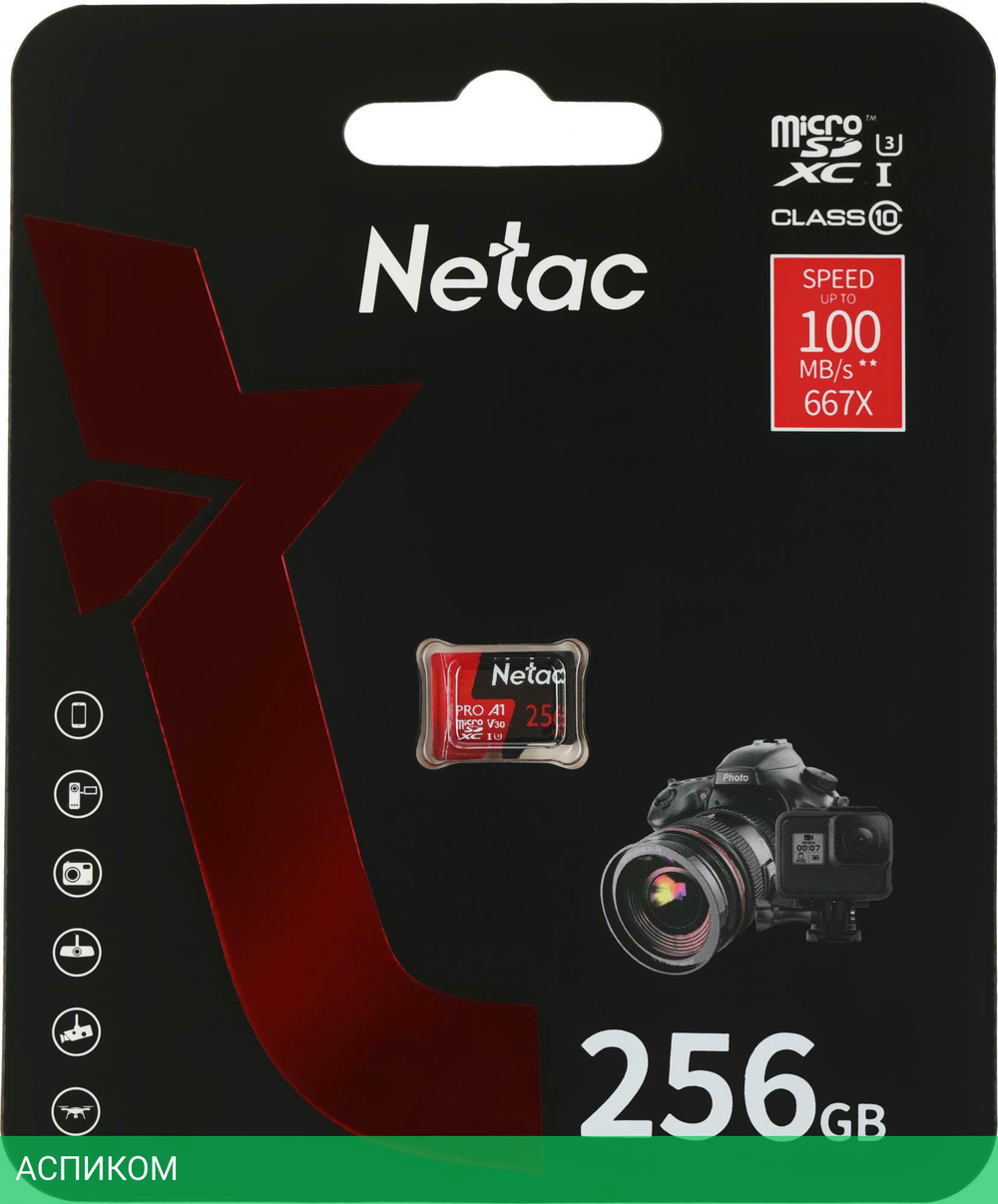 Карта памяти Netac NT02P500PRO-256G-S