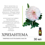 Эфирное масло хризантемы / Chrysanthemum indicum flower essential oil