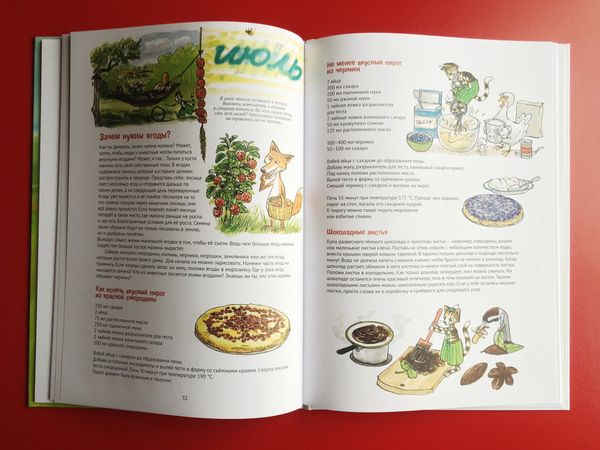 Поделки Финдуса