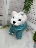 Дождевик для собак, водонепроницаемый