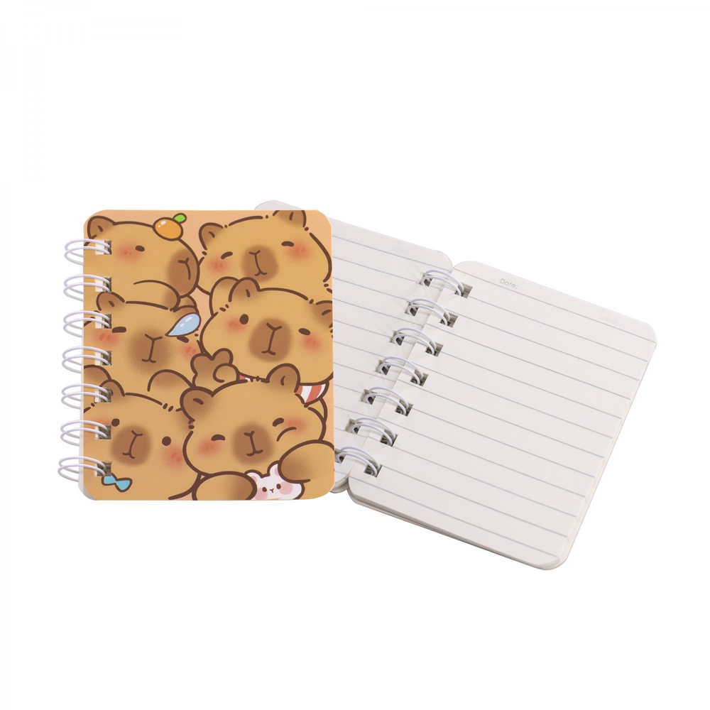 Набор школьный Alingar, "Capybara", 26 предметов, картонная коробка