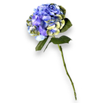 Гортензия голубая премиум